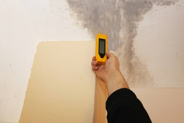 Asbestos and Lead Testing During Mold Inspection in Atmore, AL
