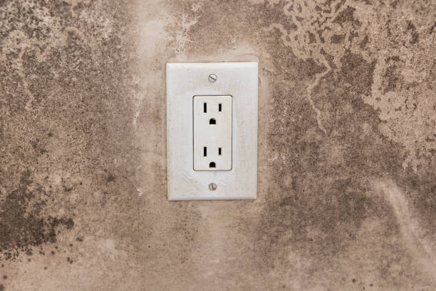Forensic Mold Investigation in Atmore, AL