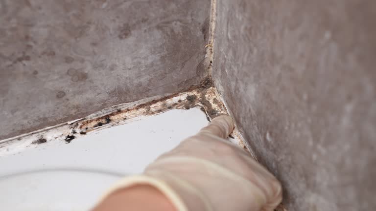 Best HVAC Mold Inspection and Cleaning  in Atmore, AL